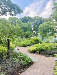 🇸🇬 Exploring Fort Canning Park in Singapore 