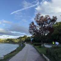 福岡行街以外既選擇 大濠公園🌿