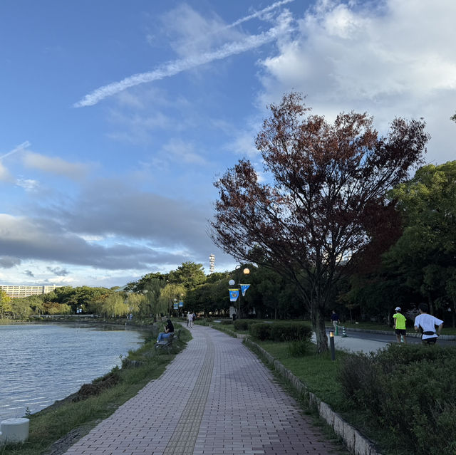 福岡行街以外既選擇 大濠公園🌿