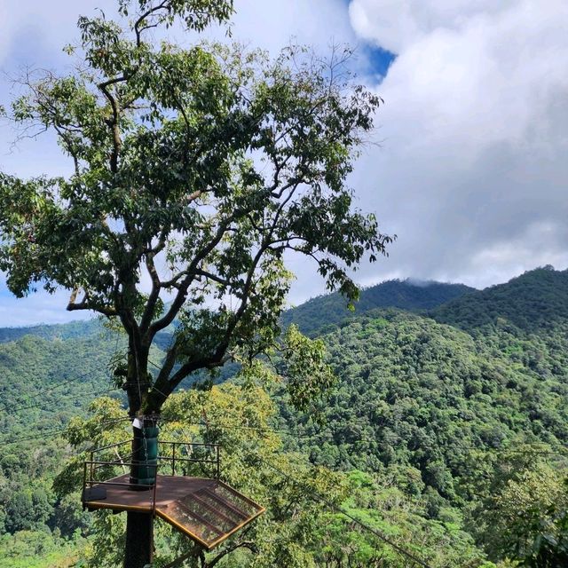 Chiangmai Solo Trip for Female traveller