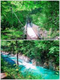 【長野】エメラルドグリーンに輝く阿寺渓谷🏞️✨