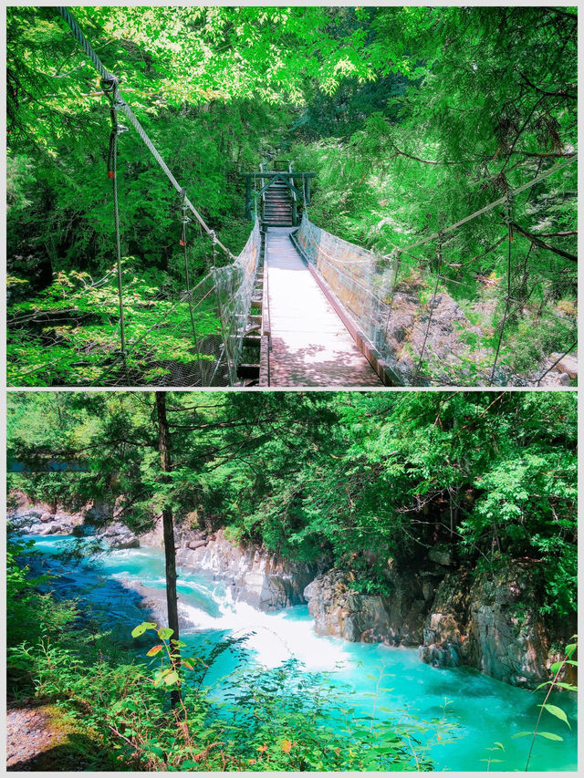 【長野】エメラルドグリーンに輝く阿寺渓谷🏞️✨