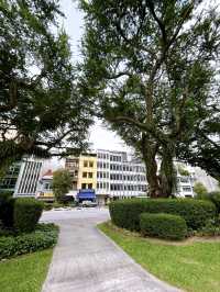 Hong Lim Park: Singapore’s Hub of Heritage and Expression