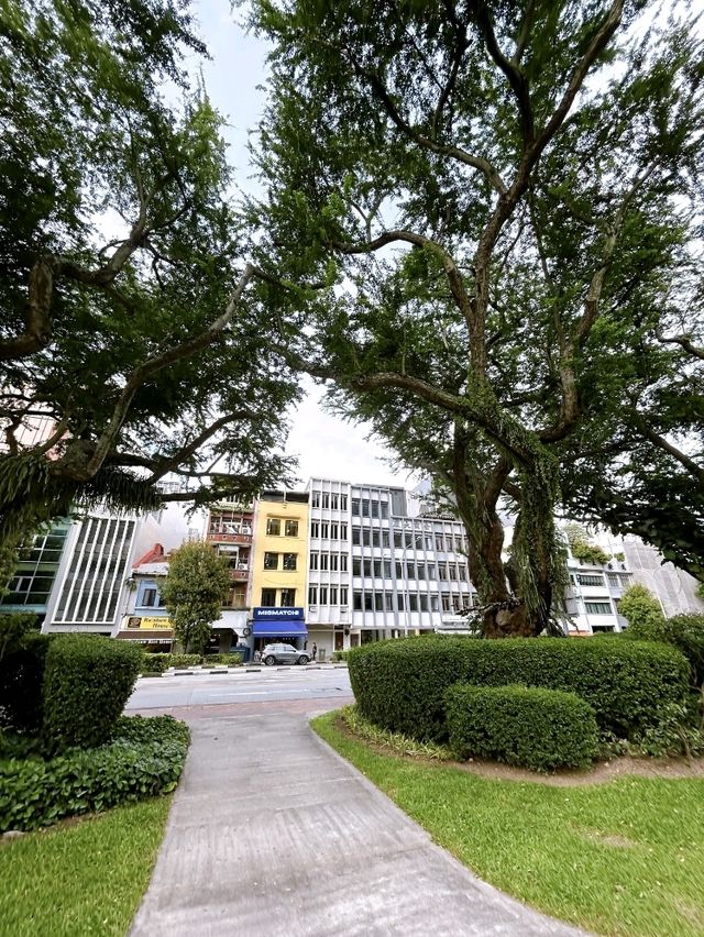 Hong Lim Park: Singapore’s Hub of Heritage and Expression