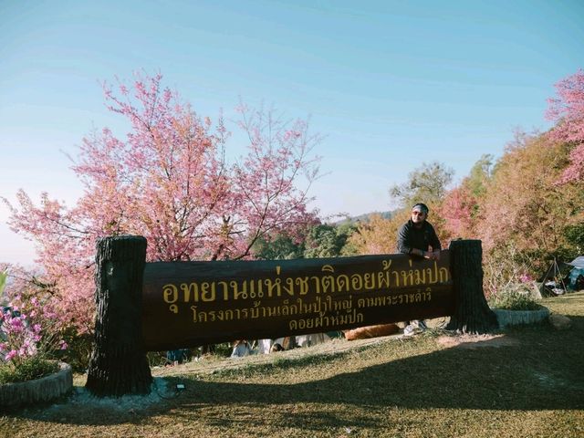 โครงการบ้านเล็กในป่าใหญ่ 