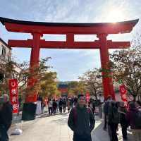 Journey Through the Red Gates: My Adventure at Fushimi Inari!