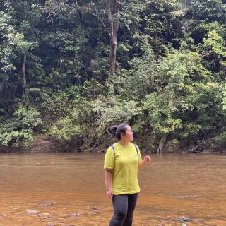 Taman Negara