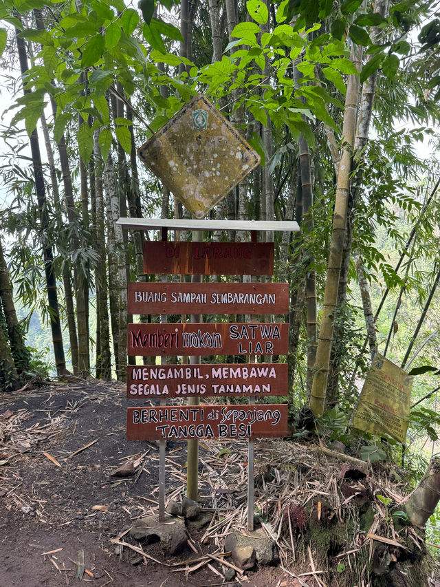 Tumpak Sewu, Asian Niagara Falls