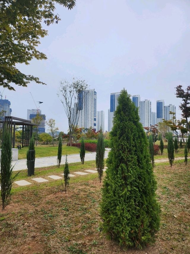 가을 낙엽 떨어지는 소리를 느낄수 있는 청라호수공원😍