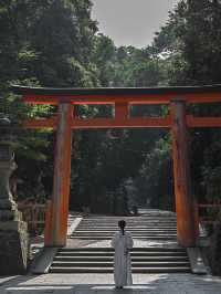 【奈良の世界遺産】春日大社⛩️