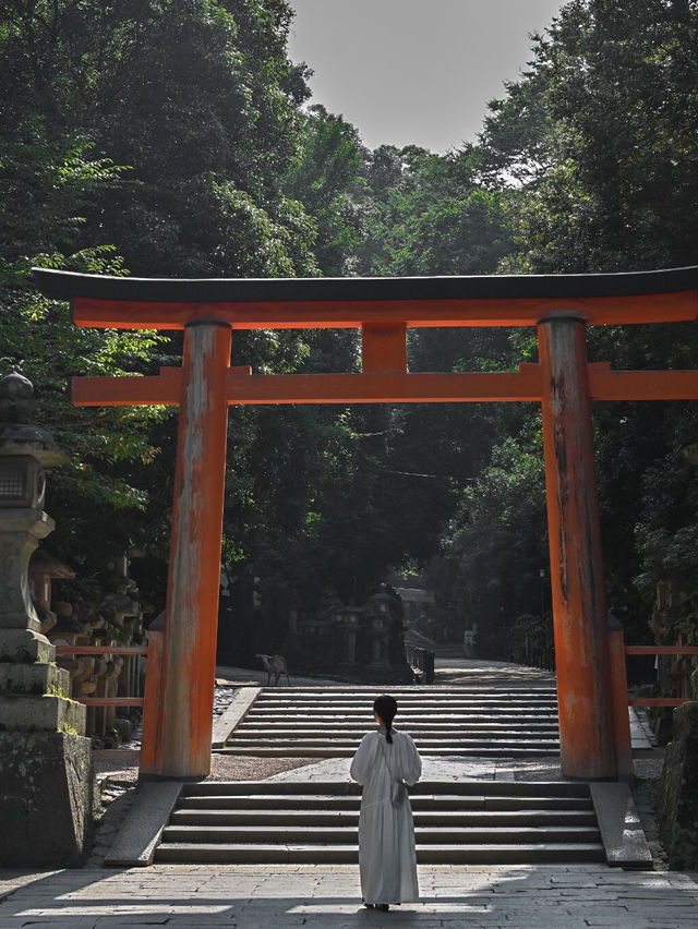 【奈良の世界遺産】春日大社⛩️