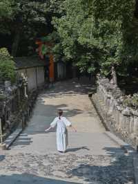 【奈良の世界遺産】春日大社⛩️
