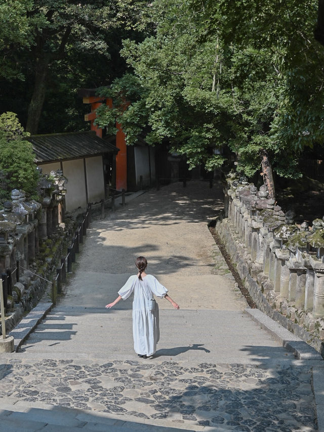 【奈良の世界遺産】春日大社⛩️