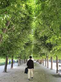 法國🇫🇷 巴黎皇宮（Palais Royal）🏛️