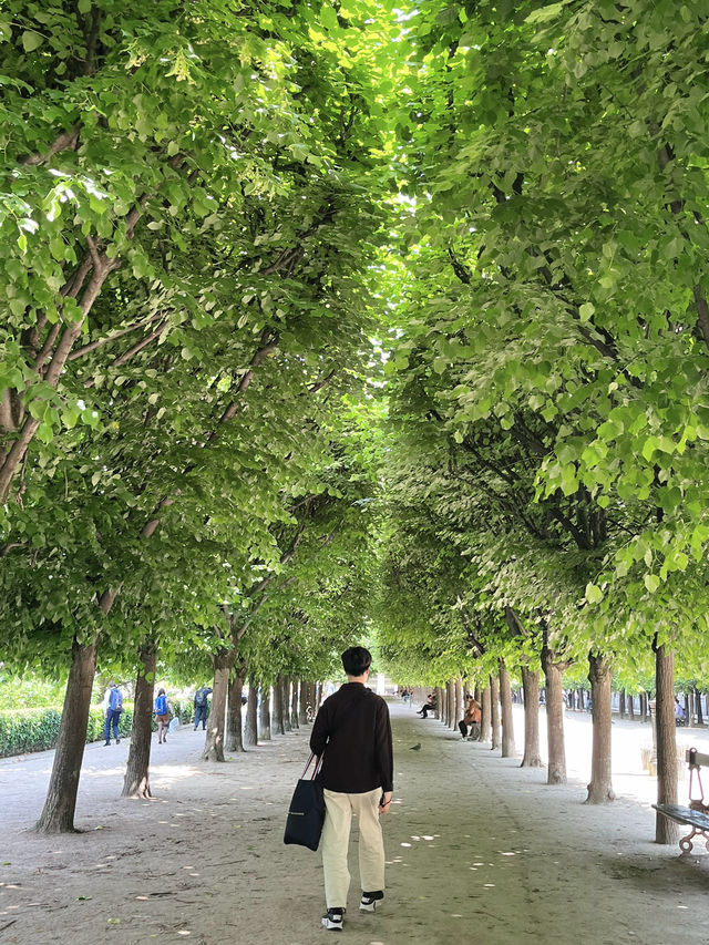 法國🇫🇷 巴黎皇宮（Palais Royal）🏛️