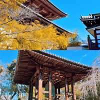 景點推薦：增上寺與東京塔，傳統與現代的完美結合