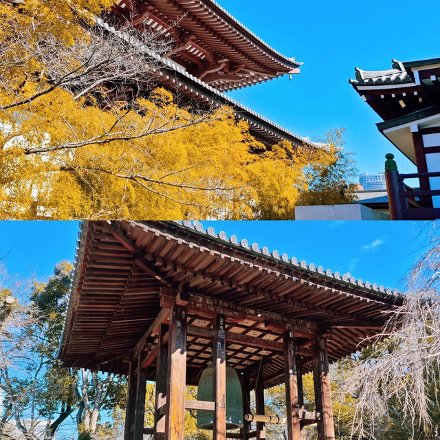 景點推薦：增上寺與東京塔，傳統與現代的完美結合