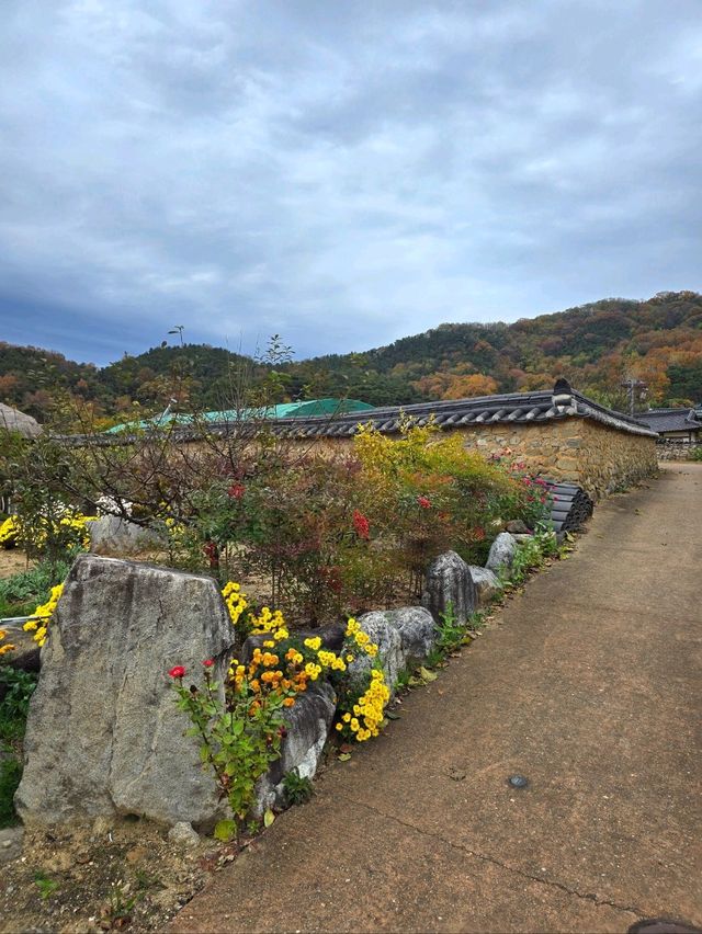 늦가을 즐기기좋은 만추의 성주 한옥마을💛