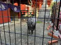 東京　神田神社(神田明神)