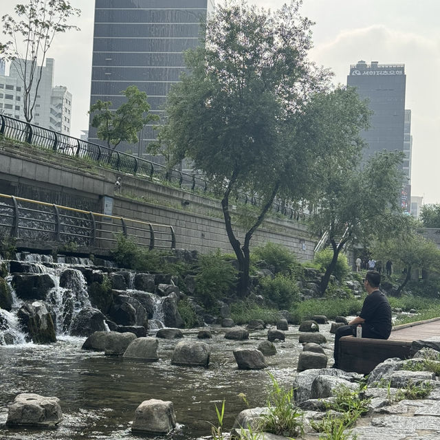 A Day Exploring Seoul Gyeongbokgung Palace, Bukchon Hanok Village and Cheonggyecheon Stream