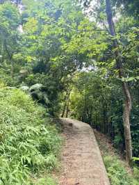 【西貢】蕉坑自然教育徑：星級自然美景，適合初心者的行山徑