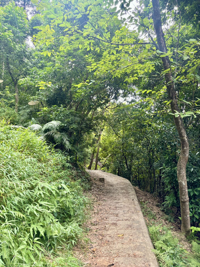【西貢】蕉坑自然教育徑：星級自然美景，適合初心者的行山徑