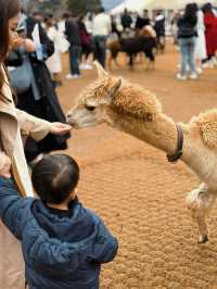 How to spend 10 days in Seoul