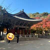 경주여행
