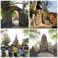 วัดพระงาม (ประตูแห่งกาลเวล) เที่ยววัดอยุธยา