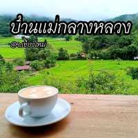 ชมนาขั้นบันไดกลางขุนเขา @บ้านแม่กลางหลวง