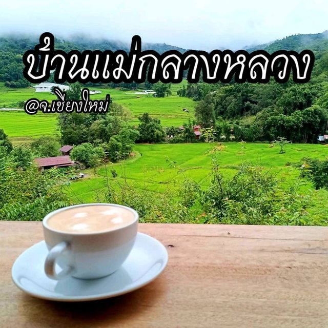 ชมนาขั้นบันไดกลางขุนเขา @บ้านแม่กลางหลวง