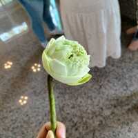 วัดมหาธาตุวชิรมงคล (วัดบางโทง)  จ.กระบี่