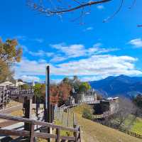 Explore Cingjing Farm, Taiwan’s High Mountain Leisure Farm