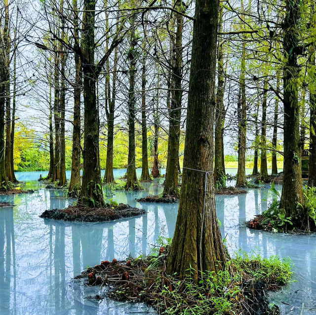 花蓮雲山水夢幻湖