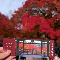🇯🇵京都「東福寺」市區楓葉🍁頂流，楓葉之王威名當之無愧！