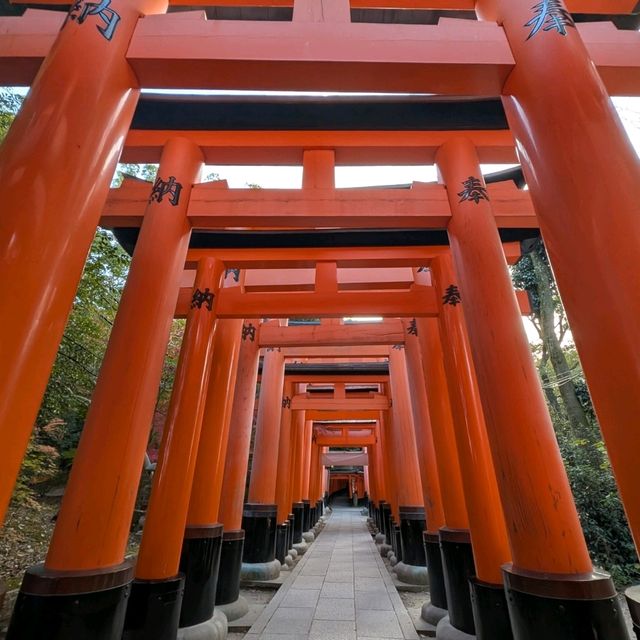 🇯🇵京都「伏見稻荷大社」輕鬆拍出無路人大片！給各位一個早起的理由！