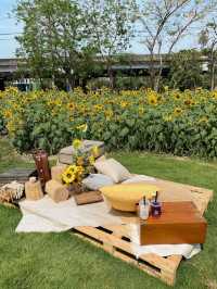 ร้านชาจุดเช็คอินใหม่ริมเลียบด่วน! CHA3MA🌻