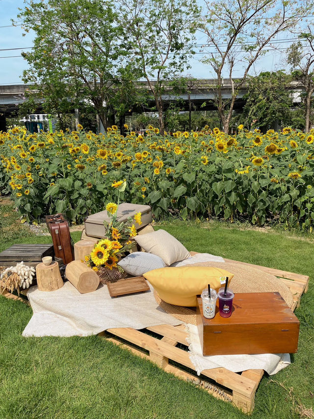 ร้านชาจุดเช็คอินใหม่ริมเลียบด่วน! CHA3MA🌻