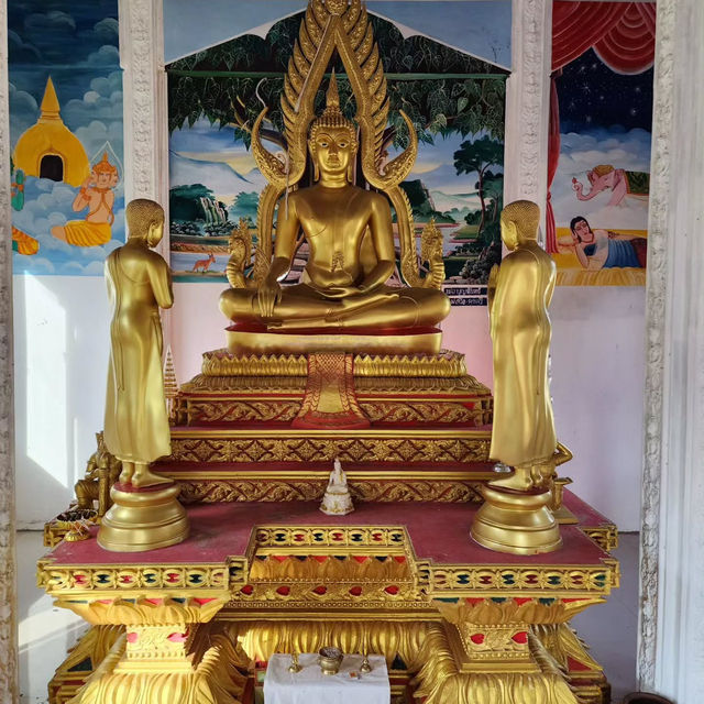 Tranquility and Tradition at Wat Nong Muang