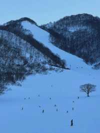 Niseko Skiing: A Powder Paradise in Hokkaido 