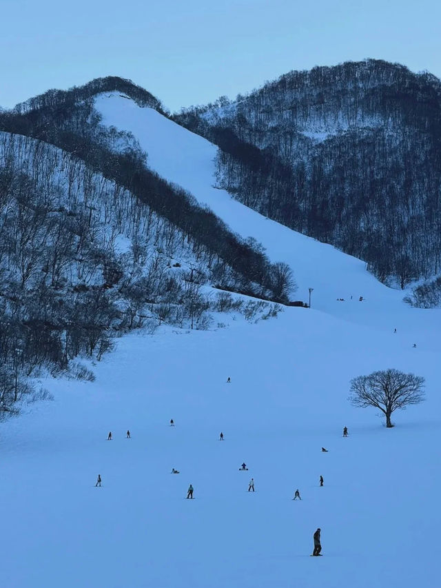 Niseko Skiing: A Powder Paradise in Hokkaido 