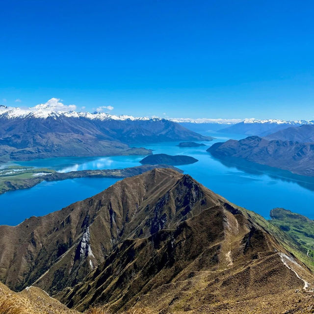 Epic Ascent: Conquering Roy's Peak