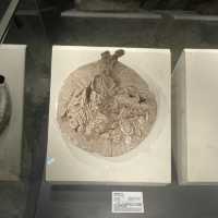พิพิธภัณท์ ไดโนเสาร์ เมือง erlian