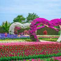   สวนเมเปิ้ล สวนดอกไม้ที่กำลังบานสวยวิวสุดอลังการ