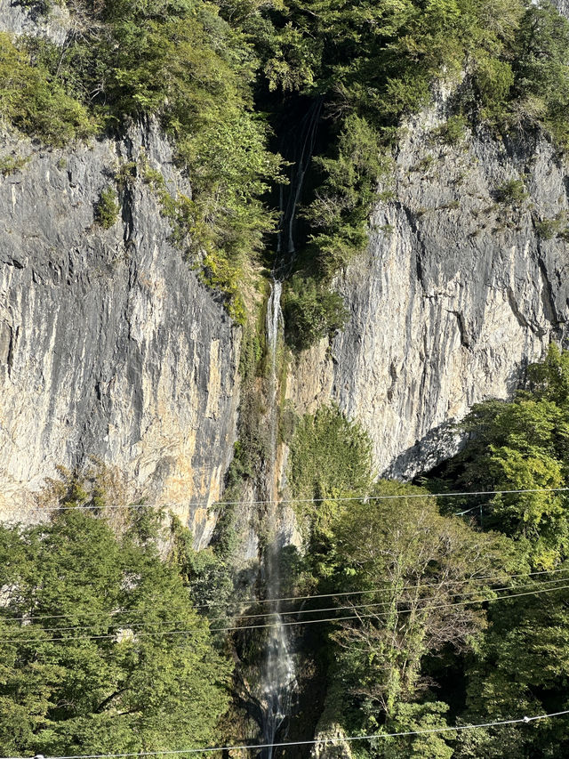 🇯🇵岡山｜遊岡山縣森林藝術祭