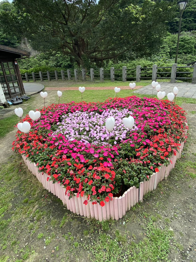 Houtong Cat Village: Purr-fectly Quirky