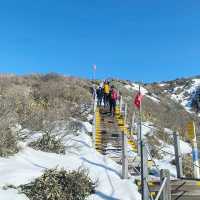 Hallasan: A Majestic Hiking Adventure 🇰🇷