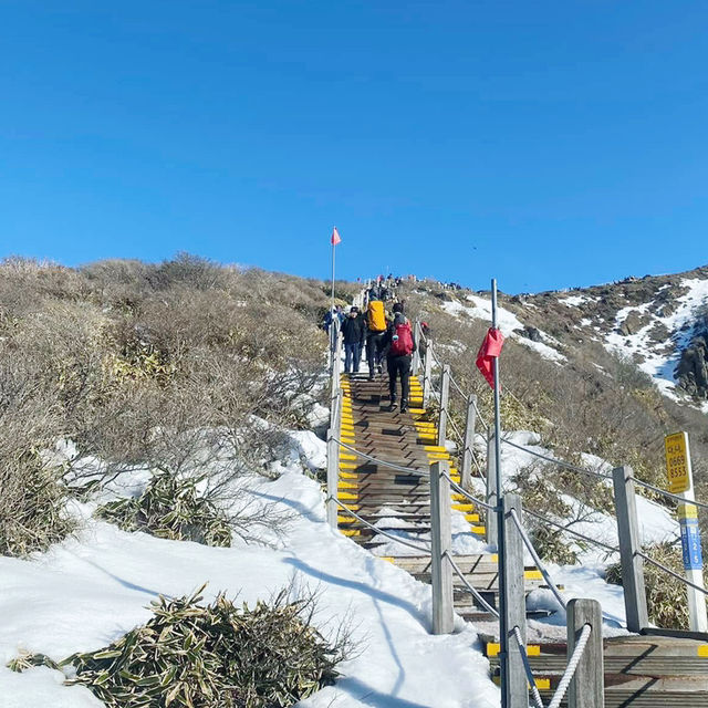 Hallasan: A Majestic Hiking Adventure 🇰🇷