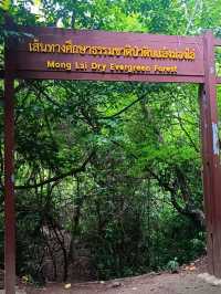 เที่ยวกาญจนบุรี