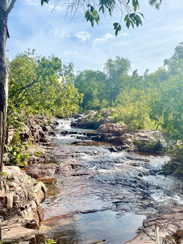 Nature’s Playground: A Memorable Visit to Litchfield National Park